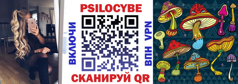 закладки  Усмань  Галлюциногенные грибы Psilocybe 